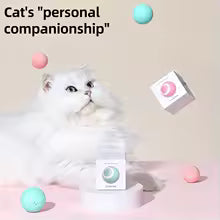 🐾 Diversión que Persigue 🧶 | Pelota Inteligente con Cola😺