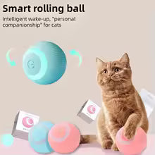 🐾 Diversión que Persigue 🧶 | Pelota Inteligente con Cola😺